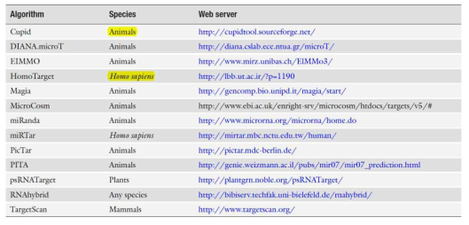 miRNA target의 ab initio algorithm들