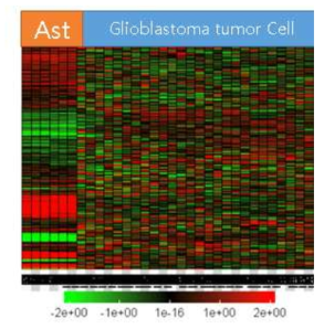 Normal brain derived astrocyte와 tumor derived cancer initiating cell에 대한 DEG를 확인함