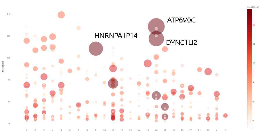 Balloon plot of Survival related genes. chromosome별 (가장 좌측 chromosome 1, 가장 우측 X,Y)로 중요한 유전자를 p value에 대해서 –log2(x)값을 취한 값이다. 즉, p value가 의미있을수록 balloon의 크기가 커진다