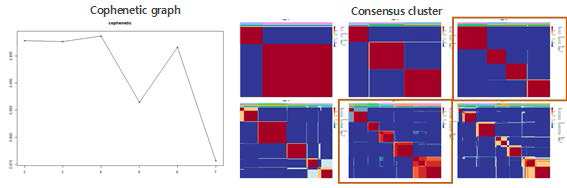 Cophenetic graph and consensus plot