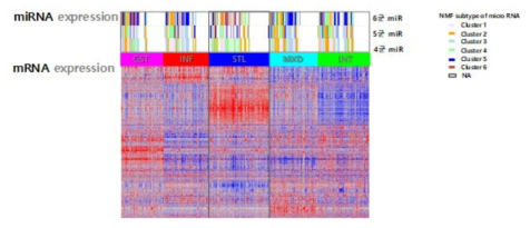 mRNA Heat map과 miRNA subtype 연관