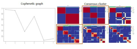 Cophenetic graph and consensus plot