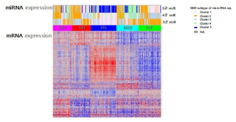 mRNA Heat map과 miRNA subtype 연관