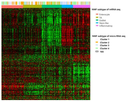 mRNA Heat map과 miRNA subtype 연관