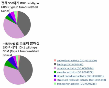 50여개 IDH1 wildtype GBM의 Type 2 tumor-related genes, IDH1 wildtype GBM의 Type 2 tumor-related gene 190여개의 GO term annotation (DB: panther GO term analysis)