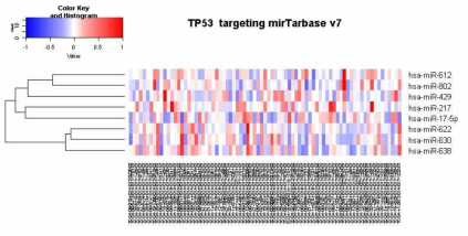 뇌암환자에서 TP53유전자의 고발현(heatmap의 좌측) 저발현(heatmap의 우측)으로 구분하고 mirTarbase v7에서 확인된 관련 miR level을 확인한 자료. 명백한 miRNA의 고발현하는 mRNA sample이 확인되지는 않는다