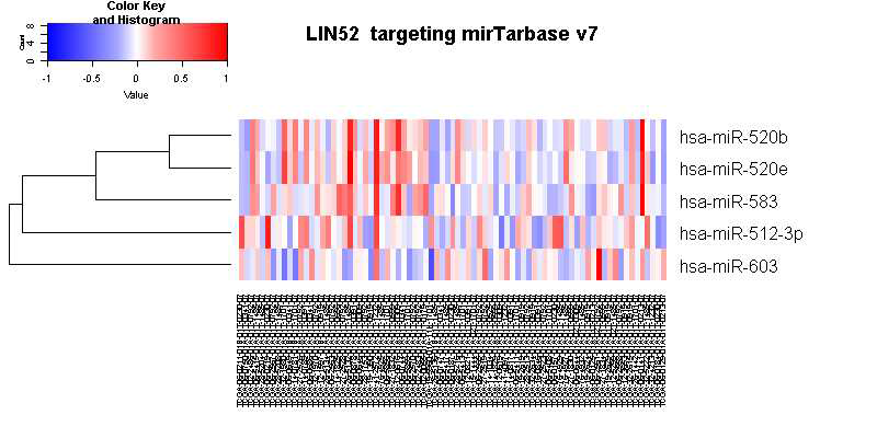 LIN52 mRNA 고저발현에 따라 구분 후 mirTarbase v7로 관련 miR level확인한 자료