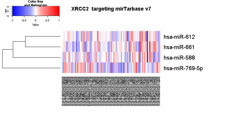 XRCC2의 mRNA 고저발현에 따라 구분 후 mirTarbase v7로 관련 miR level확인한 자료. 일부 낮은 mRNA발현에서 miRNA등이 고발현하는 것으로 추정된다