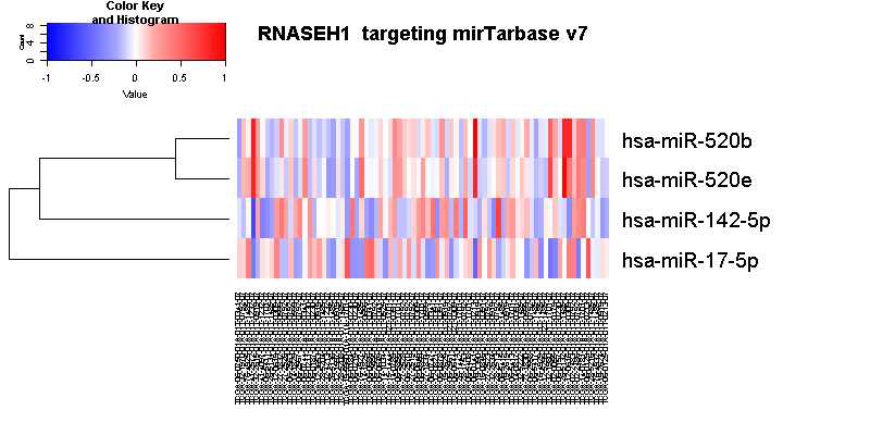 RNASEH1 mRNA 고저발현에 따라 구분 후 mirTarbase v7로 관련 miR level확인한 자료. mRNA가 낮은 부분에서 miR-520b, 520e등이 증가한 것이 일부 확인된다