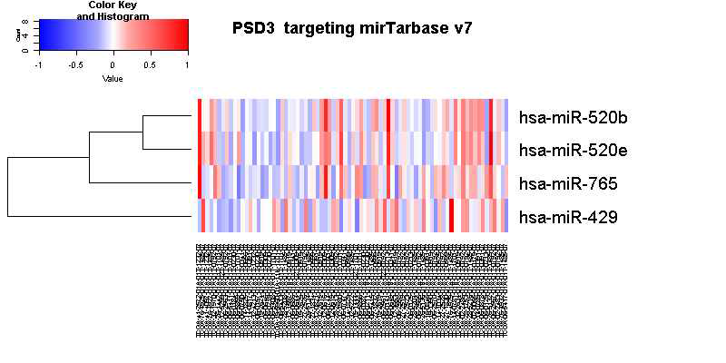 PSD3 mRNA 고저발현에 따라 구분 후 mirTarbase v7로 관련 miR level확인한 자료. mRNA발현이 낮은 부분에서 miR등이 고발현되고 있는 것을 확인할 수 있다. 그러나 일부 mRNA가 높은 부분에서도 miR가 높은 발현을 보이고 있어서 명백하게 정의할 수 없다