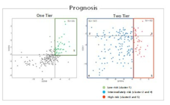 SPC 알고리즘을 적용한 예후예측 dot plot