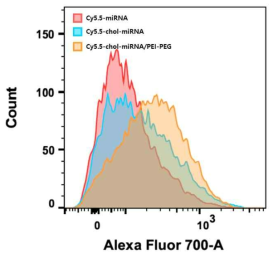 세포 수준에서 PEI-PEG 나노복합체의 miRNA전달 능력 확인을 위한 유세포 분석 그래프