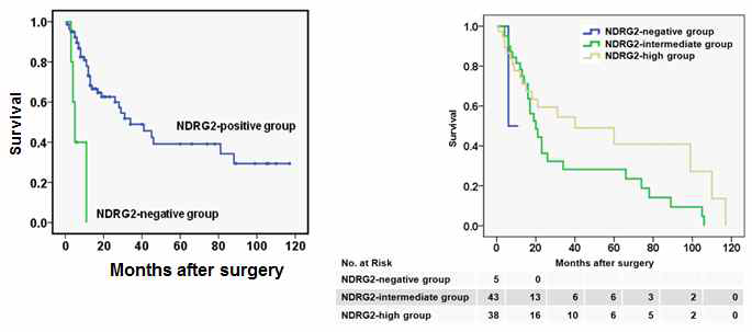 담낭암 환자에서 NDRG2 발현과 생존율의 상관관계