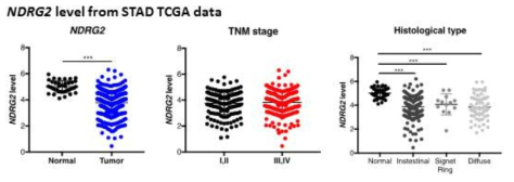위암 TCGA 데이터에서 NDRG2 유전자의 발현 분석