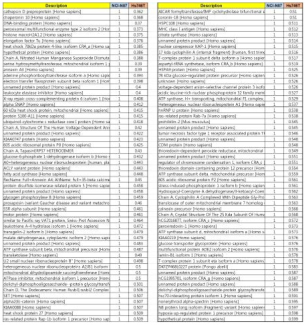 NCI-N87과 Hs-746T 세포주의 단백체 비교