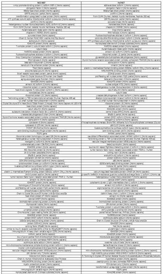 NCI-N87과 Hs-746T 세포주의 인산화 단백체 비교