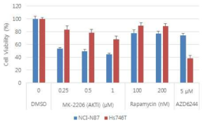 NCI-N87과 Hs-746T 세포주의 항암제 반응성