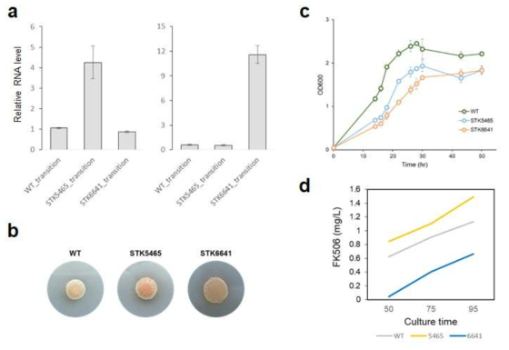 FK506 생산 개량 타겟 유전자 고발현 (a) qPCR을 이용한 타겟 유전자 고발현 여부 확인 (b) 타겟 유전자 고발현 균주들의 표현형 (c) 타겟 유전자 고발현 균주들의 생장곡선 (d) 타겟 유전자 고발현 균주들의 FK506 생산양 측정