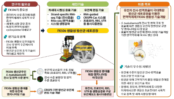 과제개요