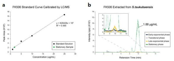 LC-MS를 이용한 S. tsukubaensis의 FK506 생산 분석. (A) 순수 FK506을 이용하여 설정한 LC-MS peak 면적과 농도간의 검정 곡선과 stationary sample의 FK506 생산 정량. (B) S. tsukubaensis의 생장 중 4개의 time point에 대한 FK506 생산 LC-MS 분석 결과