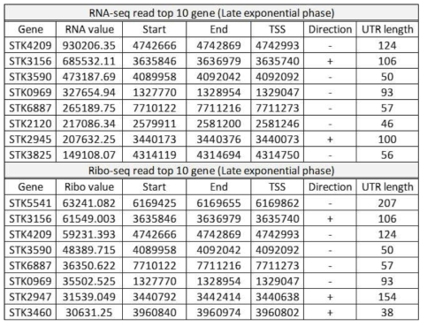 전사량 및 번역 효율 상위 10개 유전자의 위치 및 전사시작지점 정보