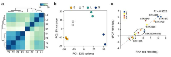 RNA-seq결과 품질 확인. (a) Clustering을 통한 RNA-seq 데이터 재현성 확인. (b) PCA 분석을 통한 RNA-seq 데이터 재현성 확인. (c) qPCR을 통한 RNA-seq 결과 검증