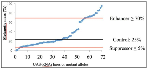 cg-GAL4 UAS-myc-RNAi에 기반한 modifier screen 결과. Cell integrity와 cell death에 관련된 gene에 대한 RNAi line들을 65주 확보하여 이를 cg-GAL4 UAS-mys-RNAi에 교배하고 이에서 나온 GAL4 UAS 자손들에서의 3rd instar larval stage에서의 melanotic mass %를 정량화하여 표기하였다. Wild type에 교배한 것이 25%의 자손에서 melanotic mass가 생성되었으며, 임의로 기준점을 정하여 70% 이상의 경우를 enhancer로, 5% 이하 대로 melanotic mass가 생성되는 경우를 suppressor로 지정하였다
