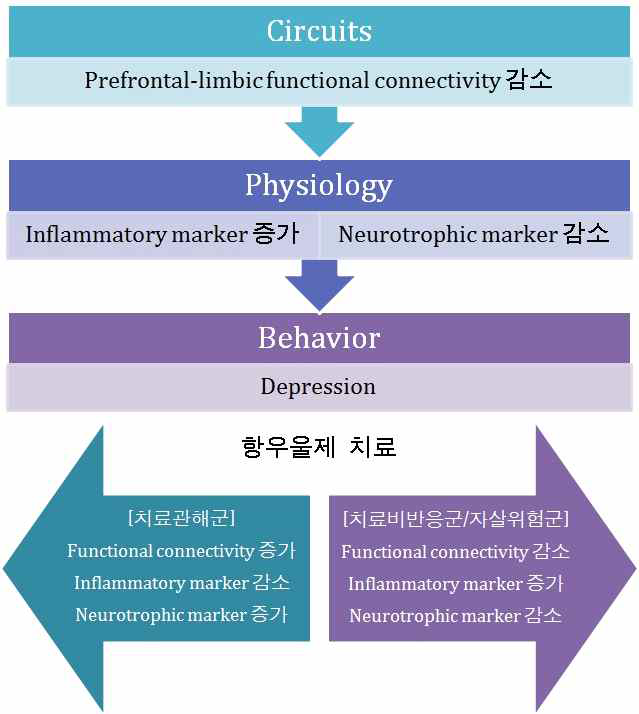 연구가설: 아동청소년 우울증의 항우울제 치료기전