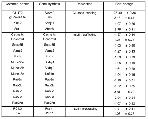 인슐린분비와 관련된 단백질들의 Microarray 데이터