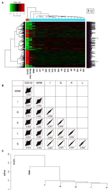 Microarray 분석. A. Global microarray expression profiles. B. Scatter plot 및 Pearson 상관계수. C. Hierachial clustering analysis