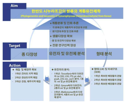 연구의 개요