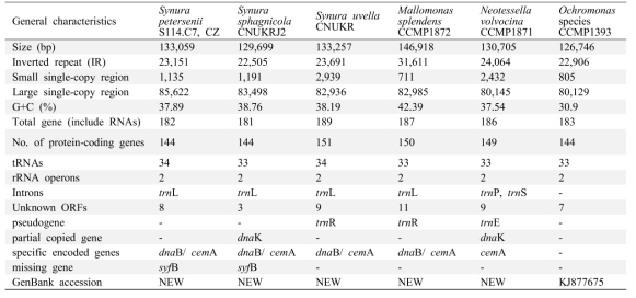 Characteristics of Synurophyceae plastid genomes analyzed in this study