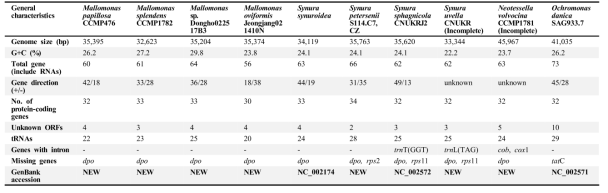Characteristics of synurophyte mt genomes analyzed in this study