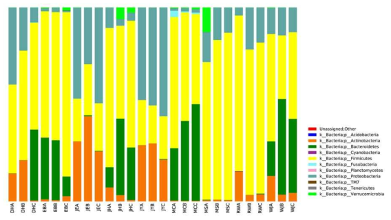 27건의 샘플에 대한 Taxonomy assignment bar plot – Phylum level