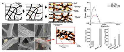 카테콜아민 중합체를 활용한 신축성 3차원 나노 섬유 스캐폴드