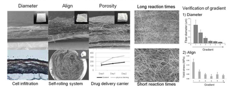 Gradient electrospinning을 이용한 다양한 구조체 제작 및 구조체를 통한 다양한 가능성 연구