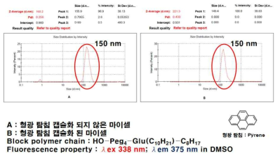 혈관투과성 측정용 하이브리드 리포좀의 입도 분석