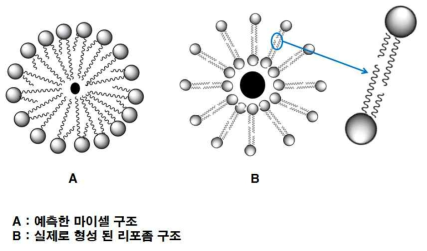 Trans-cellular 혈관투과성 측정용 기능성 탐침 개발