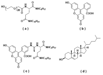 혈관투과성 측정용 페그리피드 나노입자 합성을 위한 블록중합체 및 저분자 형광물질 (a) 에틸렌글리콜 링커를 가지는 블록중합체 (b) 저분자 형광물질인 플루오르세인 (c) 플루오르세인이 결합된 블록중합체 (d) 콜레스테롤