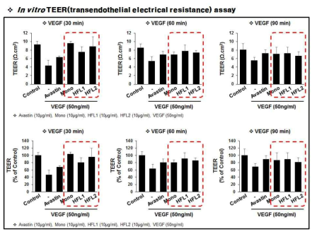 TEER (transendothelial electrical resistance)측정법을 이용한 세포투과성 측정