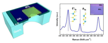 (좌) WS2 membrane을 사용한 나노이온소자의 모식도 (우) WS2 박막의 특성 확인을 위한 Raman spectroscopy