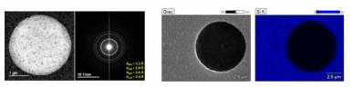 제작된 산화아연막 나노이온소자의 membrane 영역의 TEM 및 EDS 분석