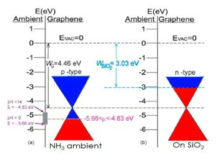 접촉중인 물질의 EF에 따라 변화하는 graphene의 electron Fermi liquid 특성