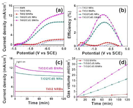 Photochemical properties of TiO2 NRs, TiO2 BNRs, TiO2/CdS NRs, and TiO2/CdS BNRs under the illumination of AM 1.5G (100mWcm-2). (a) Photocurrent density versus potential curves, (b) calculated photoconversion efficiencies as a function of applied potential, © photostability measured for 2 hours at zero bias (vs. SCE), and (d) volumes of H2 gas measured at zero bias (vs SCE)