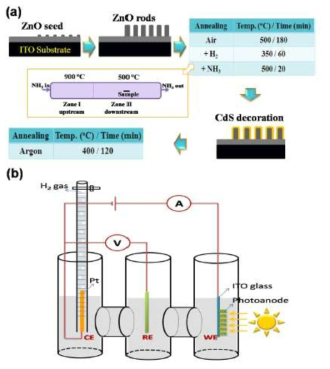 (a) Fabrication process of the N/H:ZnO/CQDs/CdS nanorods on ITO substrate and (b) schematic diagram of PEC cell for H2 gas collection
