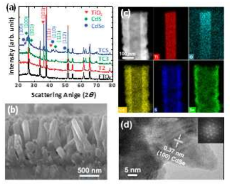 Structural characterization for the optimized structure TCS. (a) XRD pattern of TCS compared with FTO glass substrate, T2, and TC3 structures. (b) SEM image and (c) TEM image with EDS elemental mapping for Ti, O, Cd, S, and Se. (d) HRTEM image of CdSe shell layer with FFT ED pattern as the inset