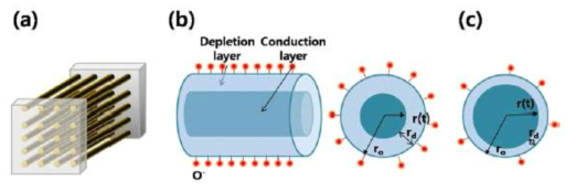 (a) The ensemble sensor model composed of nanowires with open spaces among them. (b) Each nanowire is characterized by a distinct separation between the outer insulating layer caused by ionosorbed oxygen and the inner conduction channel. The reaction of the gases with the oxygen ions adsorbed on the surface modulates the cross-section of the current-carrying conduction channel leading to resistance change. where ro is the radius of the nanowire, rd the depletion depth, and r(t) is the time-dependent radius of the conduction channel. (c) The change of depletion and conduction layers under reducing gas ambient