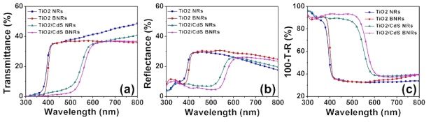 Light absorption spectra for the TiO2 NRs, TiO2 BNRs, TiO2/CdS NRs, and TiO2/CdS BNRs