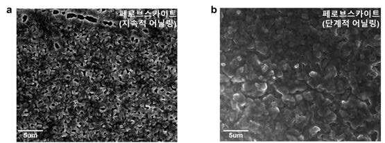 지속적 어닐링과 단계적 어닐링을 이용한 페로브스카이트 필름을 전자주사현미경으로 관찰한 사진