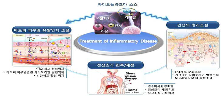 바이오플라즈마의 염증성 질환 치료 기전